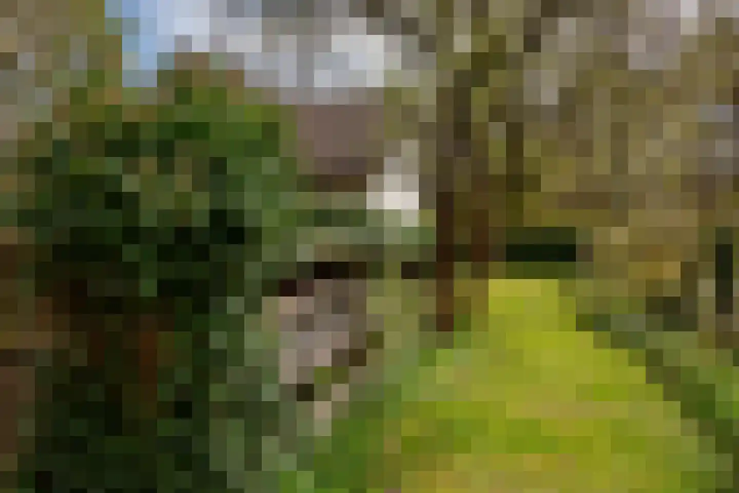 Harm Aartsweg 10 't Loo Oldebroek thumbnail 57