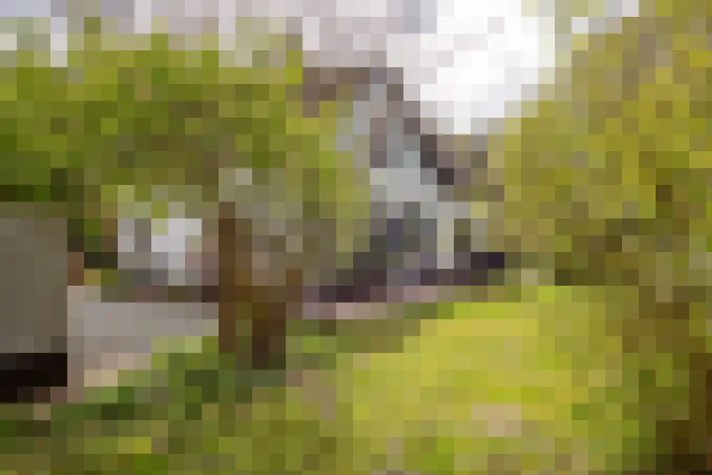 Harm Aartsweg 10 't Loo Oldebroek thumbnail 58