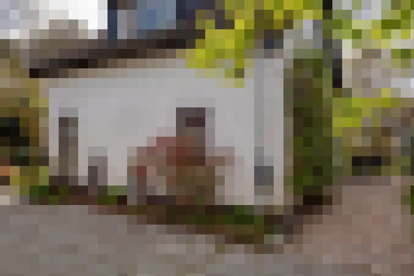 Harm Aartsweg 10 't Loo Oldebroek thumbnail 59
