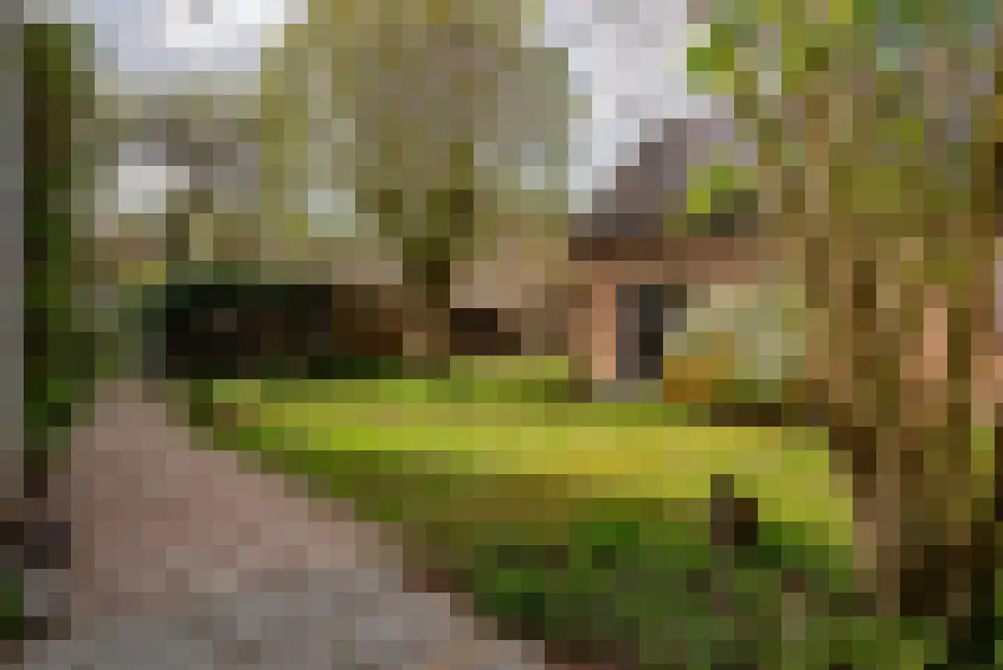 Harm Aartsweg 10 't Loo Oldebroek thumbnail 60