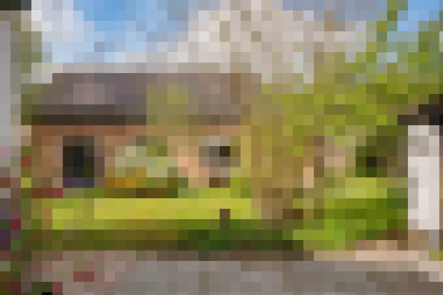 Harm Aartsweg 10 't Loo Oldebroek thumbnail 61