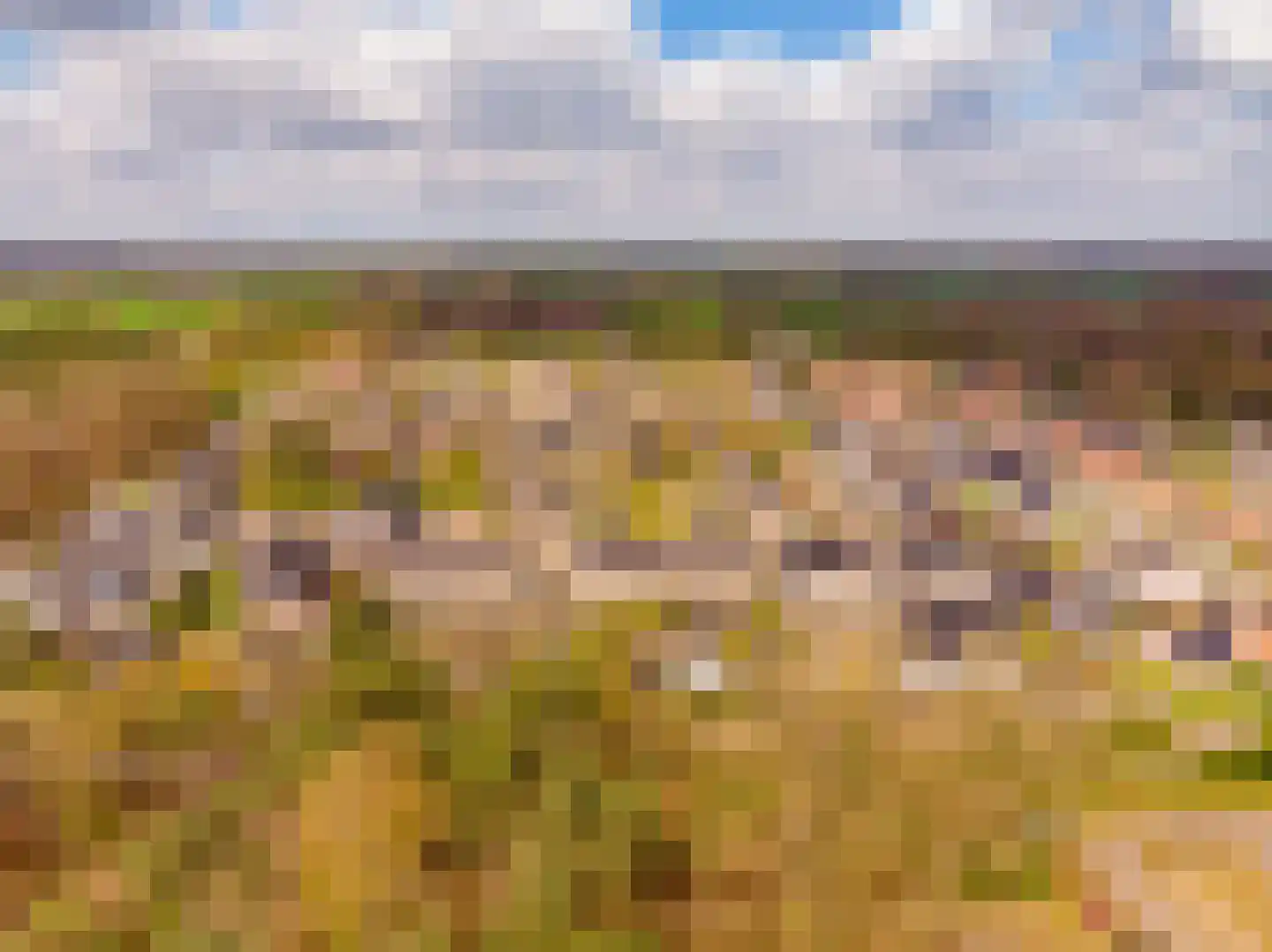 Harm Aartsweg 10 't Loo Oldebroek thumbnail 67