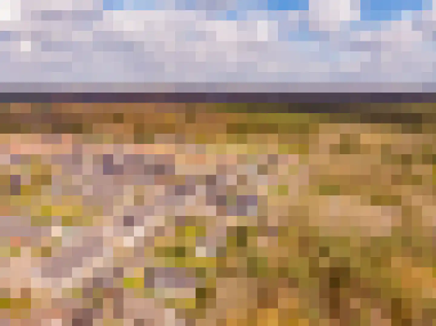 Harm Aartsweg 10 't Loo Oldebroek thumbnail 68