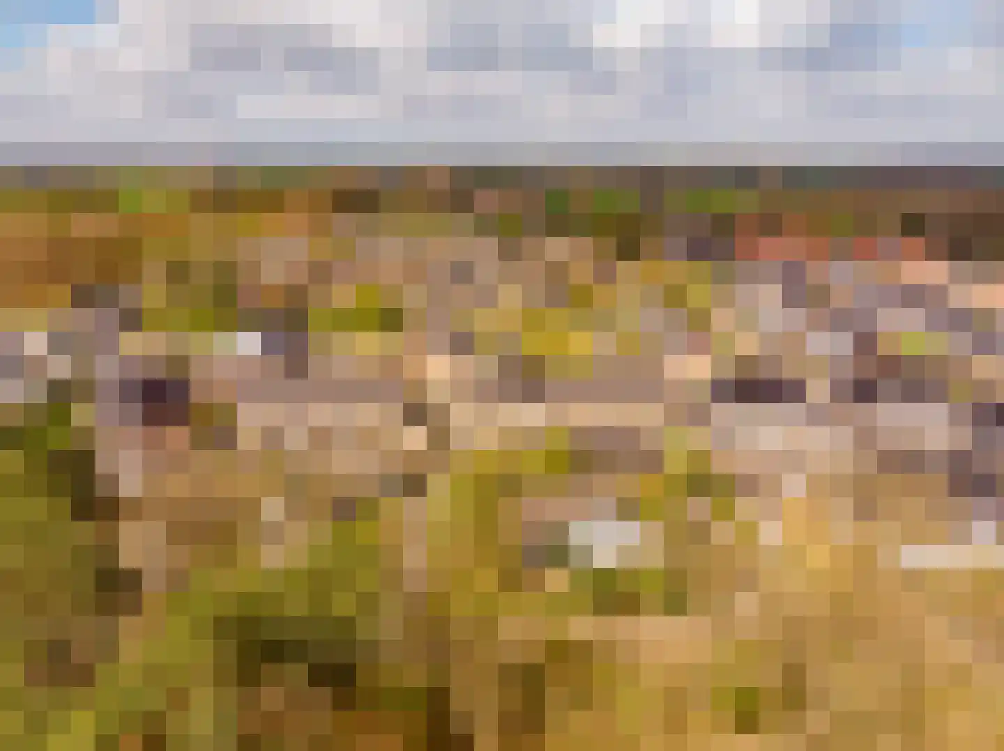 Harm Aartsweg 10 't Loo Oldebroek thumbnail 69