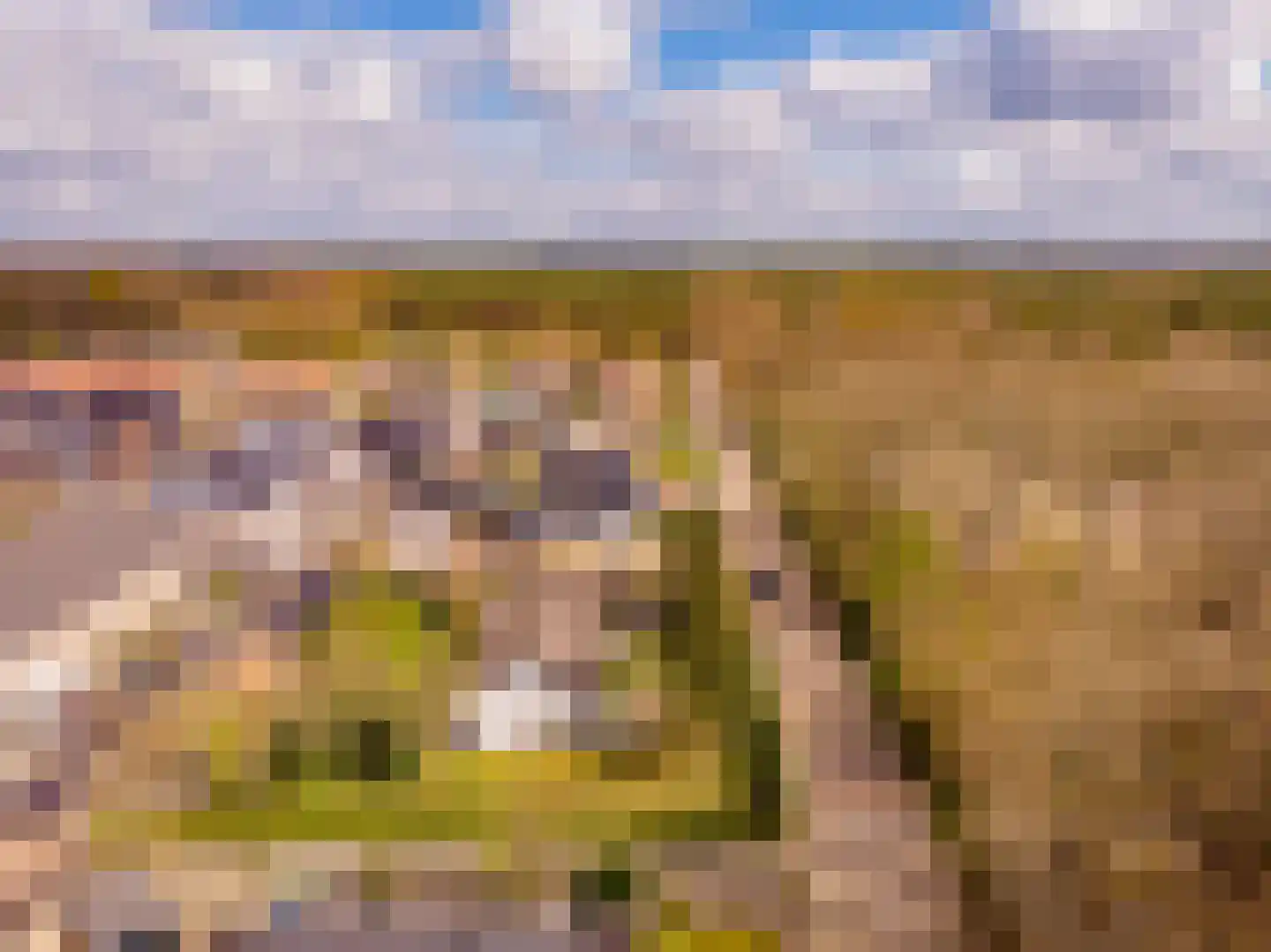 Harm Aartsweg 10 't Loo Oldebroek thumbnail 71