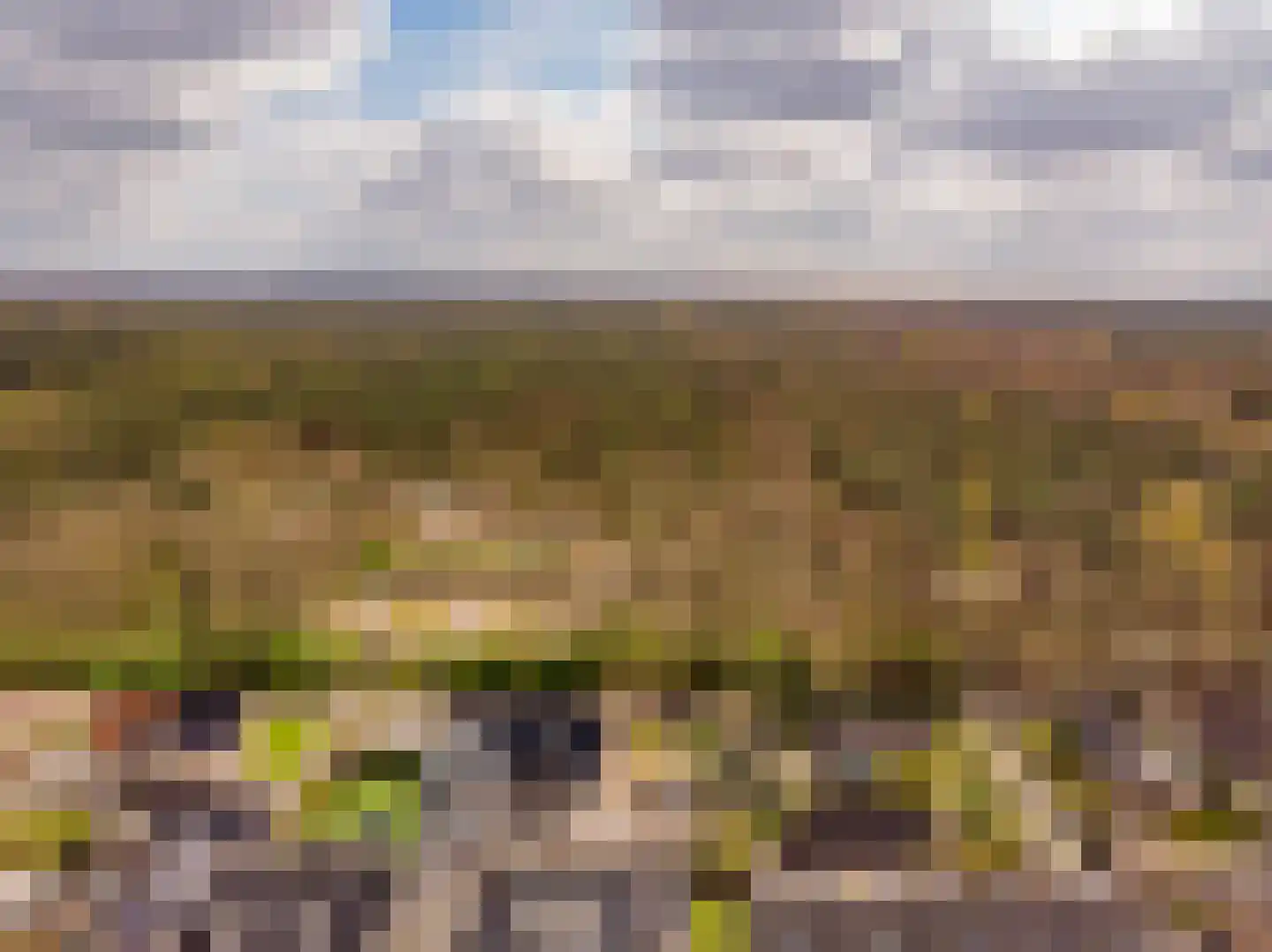 Harm Aartsweg 10 't Loo Oldebroek thumbnail 72