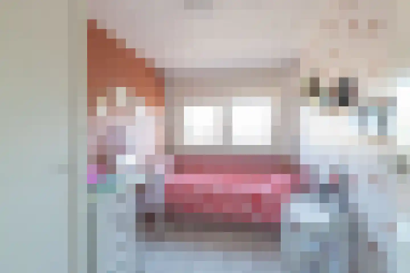 Harm Boomstraat 11 Assen thumbnail 20