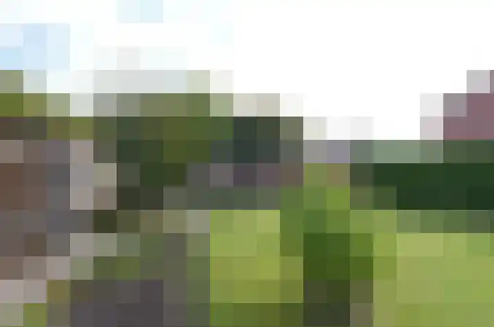 Harm Boomstraat 7 Assen thumbnail 27
