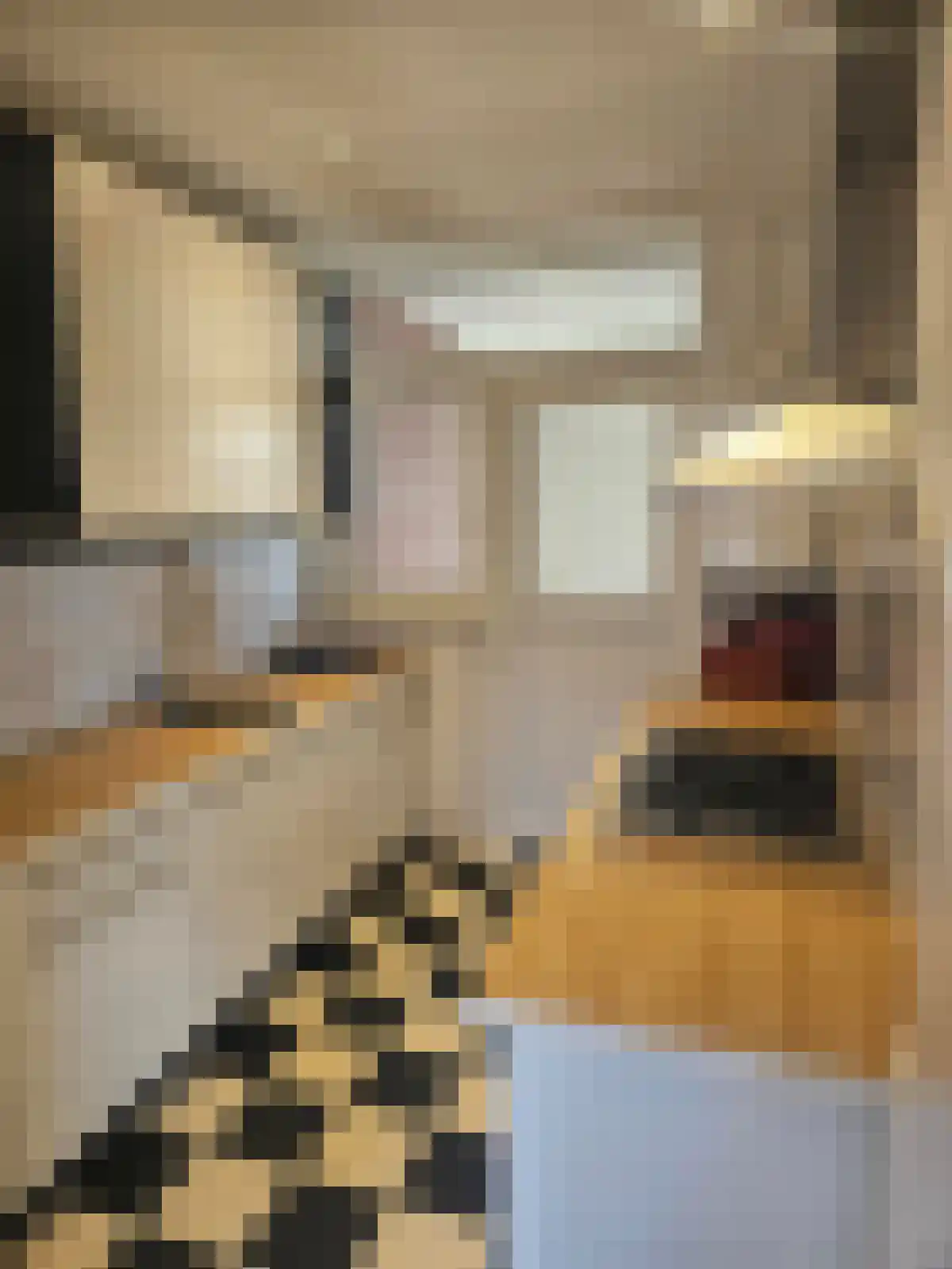 Harm Heijeslaan 17 Nieuwe Pekela foto 3