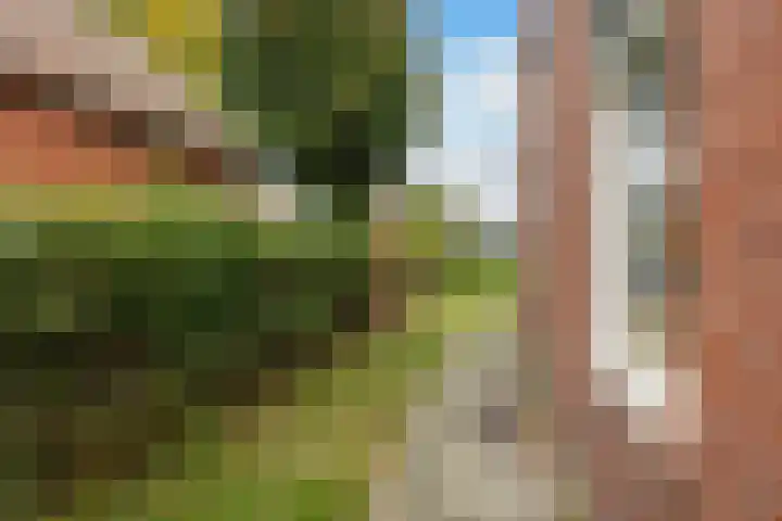 Harm Heijeslaan 28 Nieuwe Pekela thumbnail 20