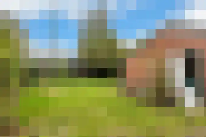 Harm Heijeslaan 28 Nieuwe Pekela thumbnail 21