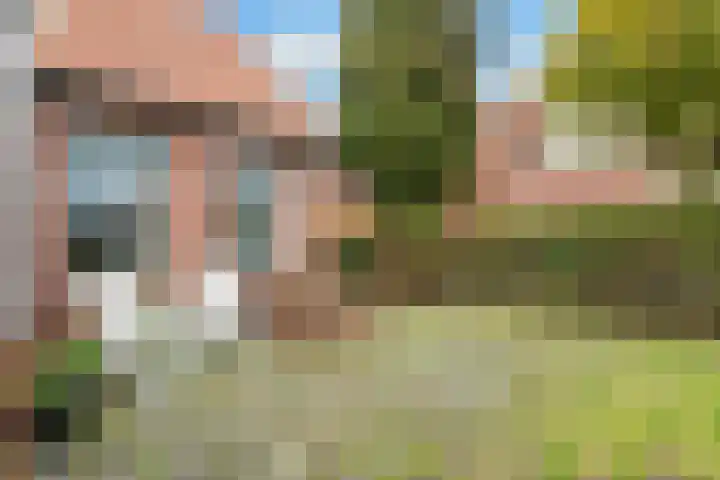 Harm Heijeslaan 28 Nieuwe Pekela thumbnail 24