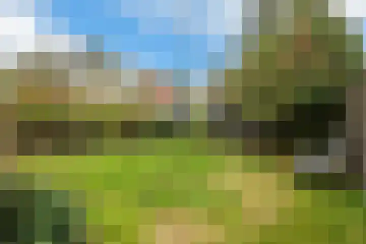 Harm Heijeslaan 28 Nieuwe Pekela thumbnail 25