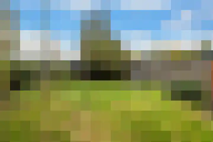 Harm Heijeslaan 28 Nieuwe Pekela thumbnail 26