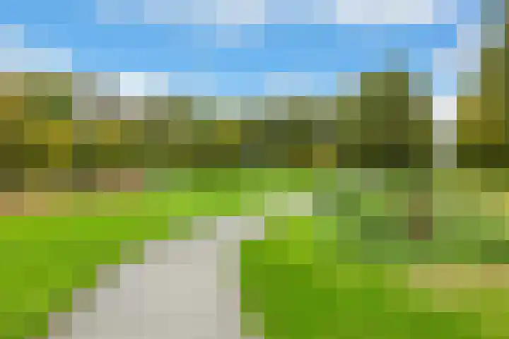 Harm Heijeslaan 28 Nieuwe Pekela thumbnail 27