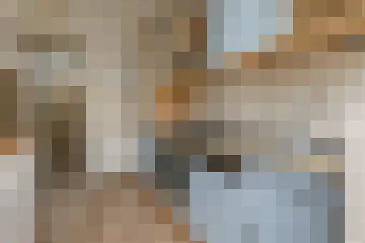 Harm Heijeslaan 41 Nieuwe Pekela thumbnail 10
