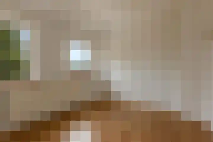 Harm Heijeslaan 41 Nieuwe Pekela thumbnail 12
