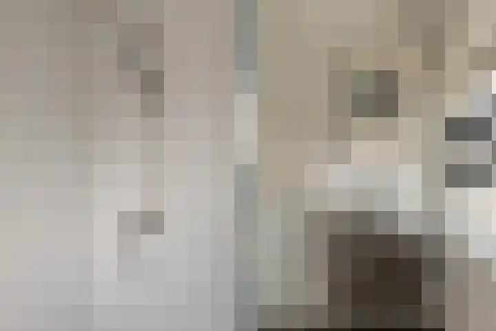 Harm Heijeslaan 41 Nieuwe Pekela thumbnail 18