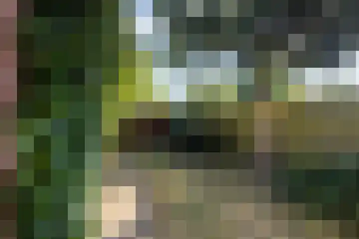 Harm Heijeslaan 41 Nieuwe Pekela thumbnail 23