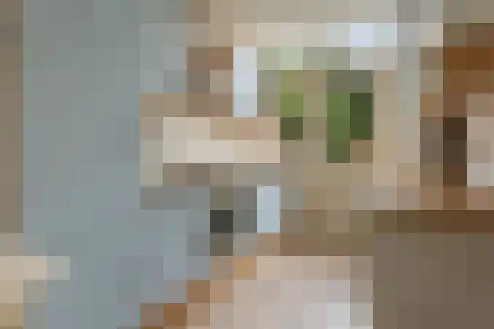 Harm Heijeslaan 41 Nieuwe Pekela foto 3