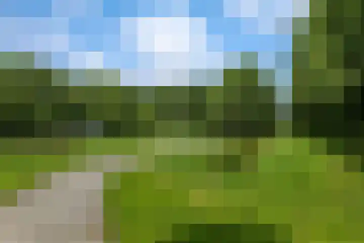 Harm Heijeslaan 41 Nieuwe Pekela thumbnail 30