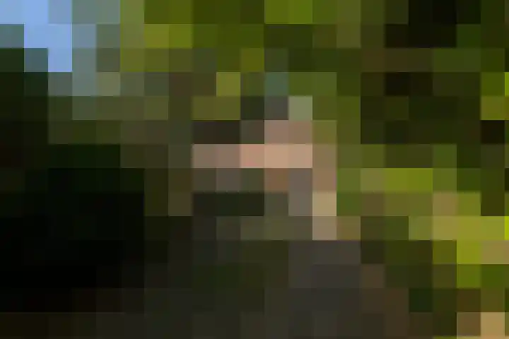 Harm Heijeslaan 41 Nieuwe Pekela thumbnail 5
