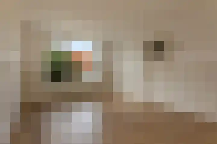 Harm Heijeslaan 41 Nieuwe Pekela thumbnail 7
