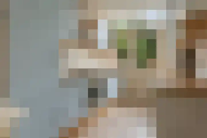 Harm Heijeslaan 41 Nieuwe Pekela thumbnail 9