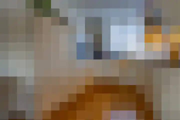 Harm Jans Stevensstraat 3 2e Exloërmond thumbnail 12