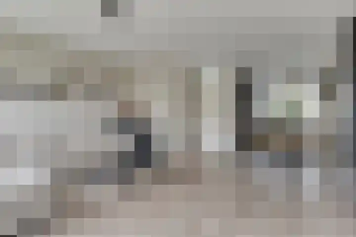 Harm Koningstraat 49 Coevorden thumbnail 6