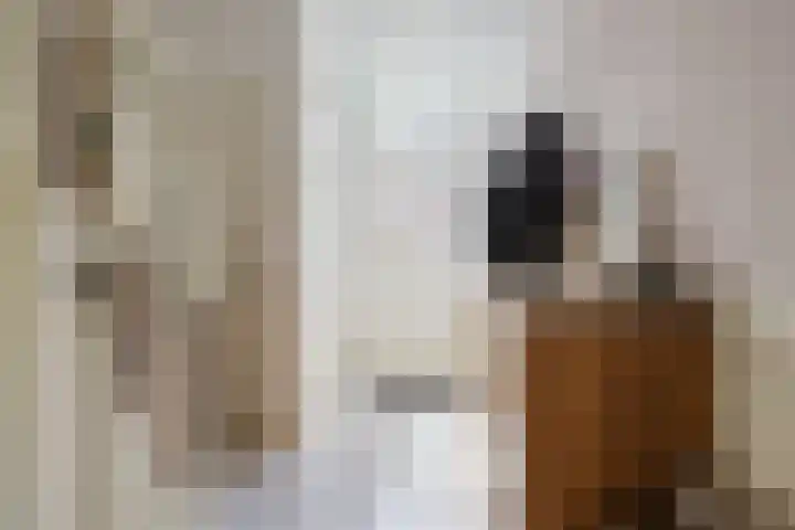 Harm Nijholtstraat 4 Oldemarkt thumbnail 5