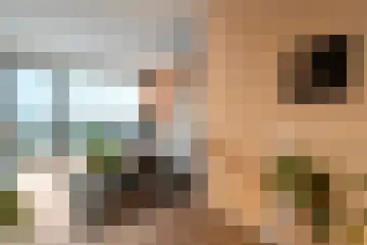 Harm Smeengekade 128 Zwolle thumbnail 14