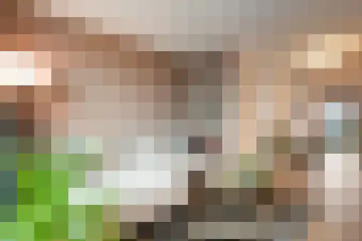 Harm Smeengekade 128 Zwolle thumbnail 15