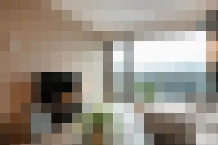 Harm Smeengekade 128 Zwolle thumbnail 16