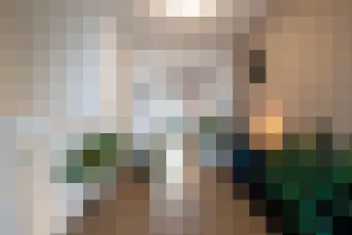 Harm Smeengekade 128 Zwolle thumbnail 18