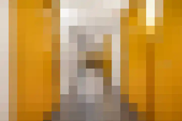 Harm Smeengekade 128 Zwolle thumbnail 9
