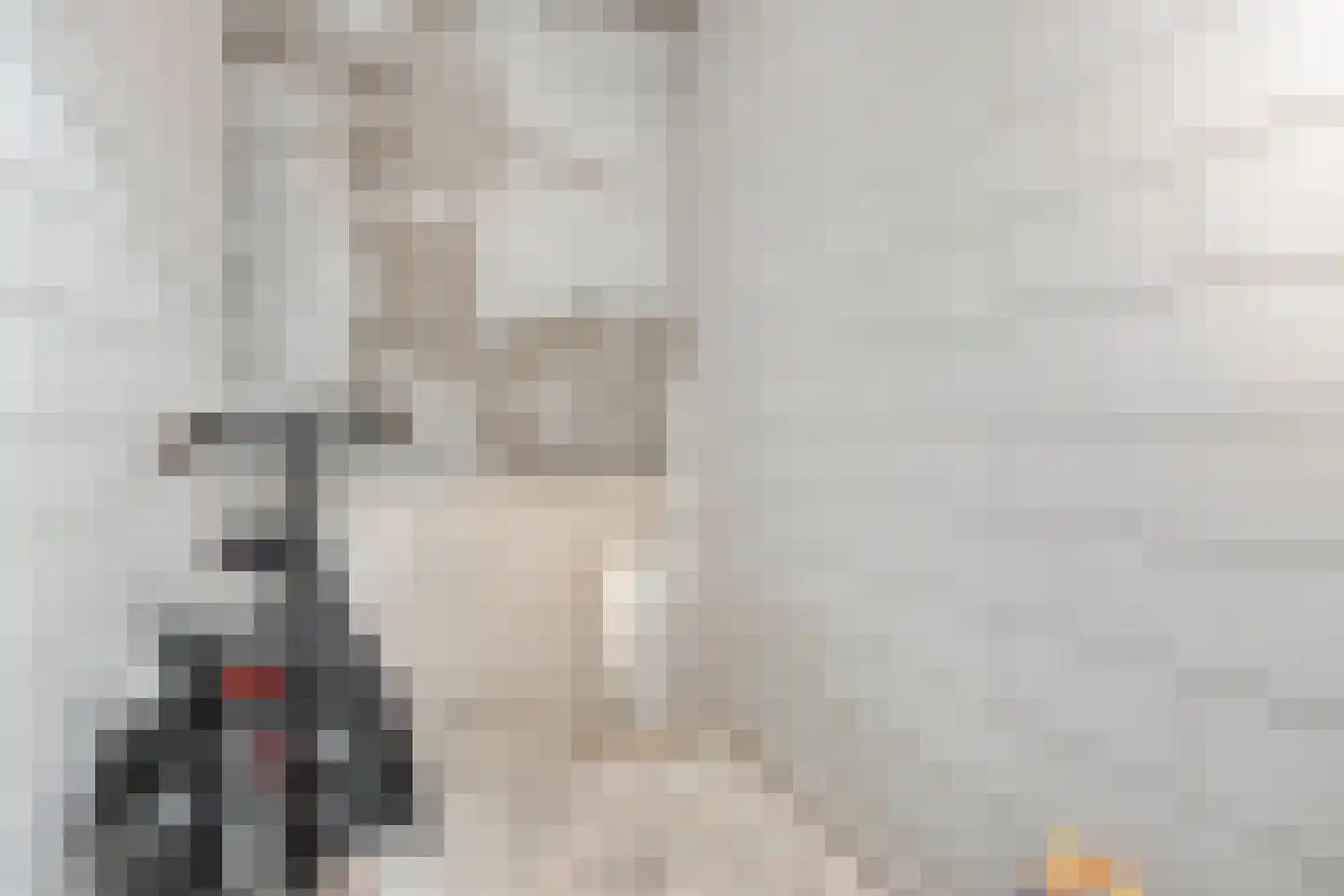 Harm Smeengekade 132 Zwolle thumbnail 19
