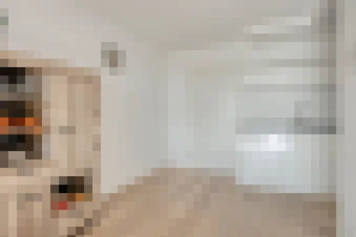 Harm Smeengekade 132 Zwolle thumbnail 9