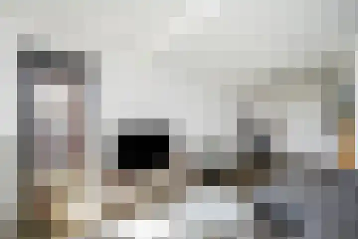 Harm Smeengekade 88 Zwolle thumbnail 10