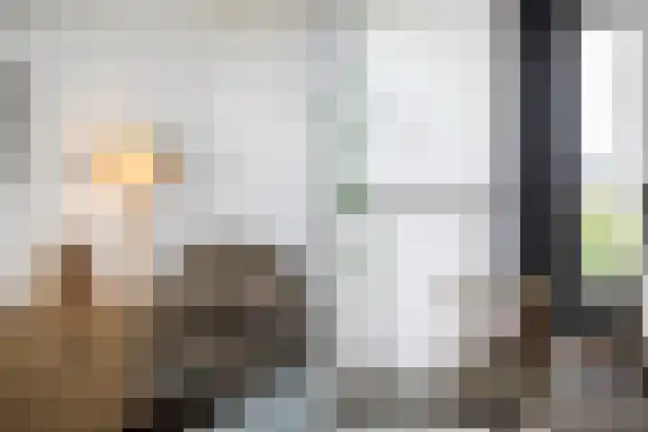 Harm Smeengekade 88 Zwolle thumbnail 13