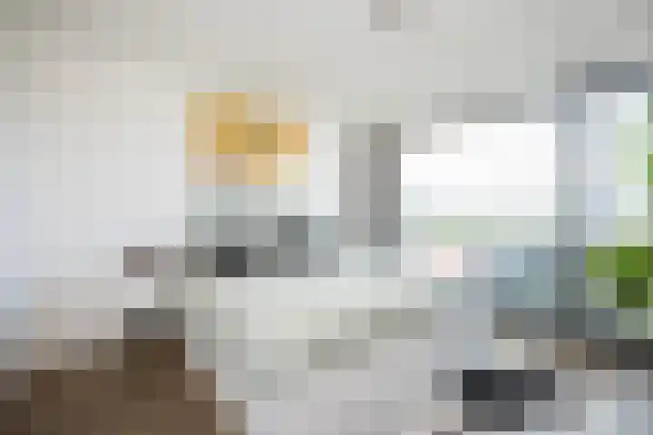 Harm Smeengekade 88 Zwolle thumbnail 15