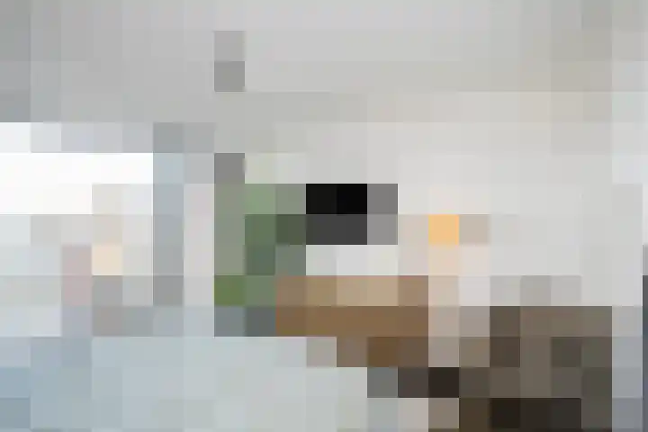 Harm Smeengekade 88 Zwolle thumbnail 16