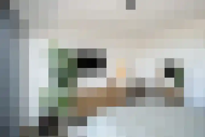 Harm Smeengekade 88 Zwolle thumbnail 17