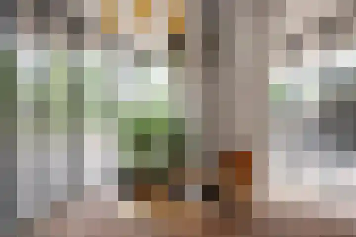 Harm Smeengekade 88 Zwolle thumbnail 20