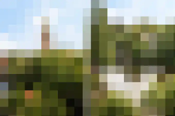 Harm Smeengekade 88 Zwolle thumbnail 24