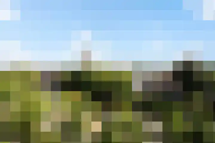 Harm Smeengekade 88 Zwolle thumbnail 25