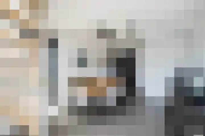 Harm Smeengekade 88 Zwolle thumbnail 5