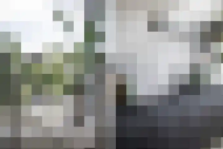 Harm Smeengekade 88 Zwolle thumbnail 6