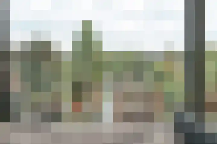 Harm Smeengekade 94 Zwolle thumbnail 15