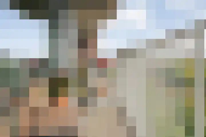 Harm Smeengekade 94 Zwolle thumbnail 19